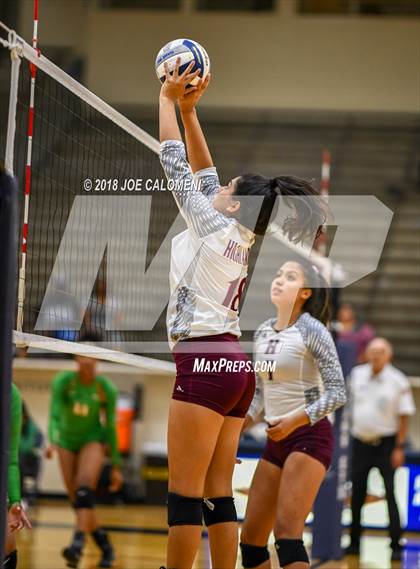Thumbnail 1 in Houston [Sam] vs Highlands photogallery.