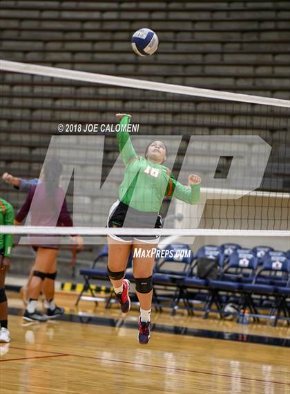 Thumbnail 1 in Houston [Sam] vs Highlands photogallery.