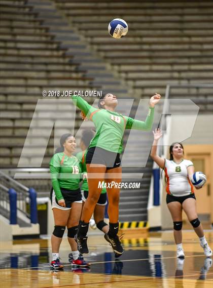 Thumbnail 1 in Houston [Sam] vs Highlands photogallery.