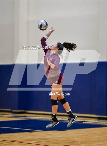 Thumbnail 1 in Houston [Sam] vs Highlands photogallery.