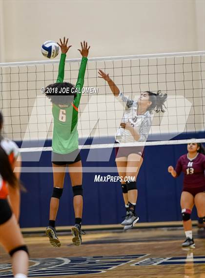 Thumbnail 1 in Houston [Sam] vs Highlands photogallery.