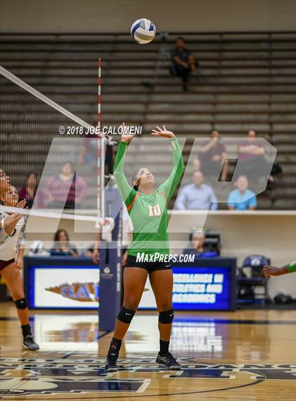 Thumbnail 1 in Houston [Sam] vs Highlands photogallery.
