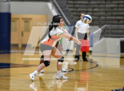 Thumbnail 2 in Houston [Sam] vs Highlands photogallery.