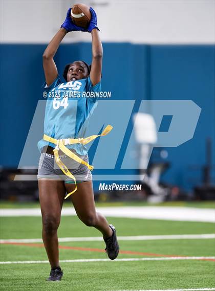 Thumbnail 1 in Jacksonville Jaguars College Showcase photogallery.