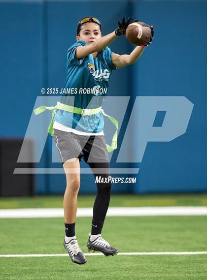 Thumbnail 1 in Jacksonville Jaguars College Showcase photogallery.