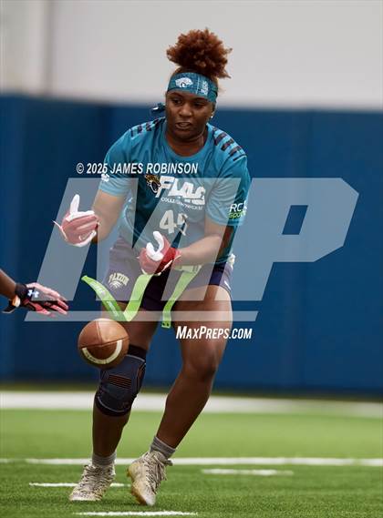 Thumbnail 2 in Jacksonville Jaguars College Showcase photogallery.