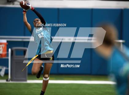 Thumbnail 2 in Jacksonville Jaguars College Showcase photogallery.