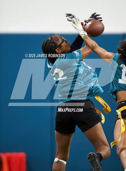 Thumbnail 1 in Jacksonville Jaguars College Showcase photogallery.