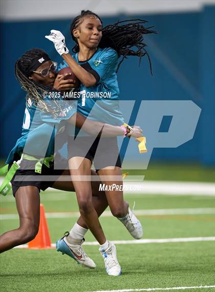 Thumbnail 2 in Jacksonville Jaguars College Showcase photogallery.