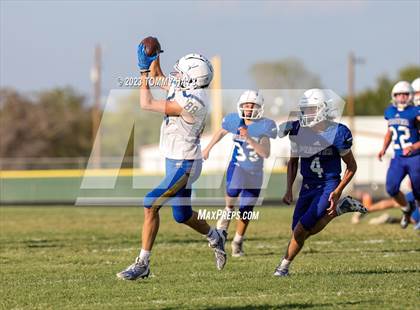 Thumbnail 3 in Brock @ Peaster photogallery.