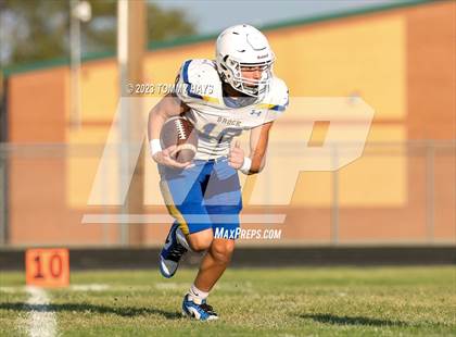Thumbnail 2 in Brock @ Peaster photogallery.