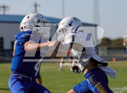 Thumbnail 1 in Brock @ Peaster photogallery.