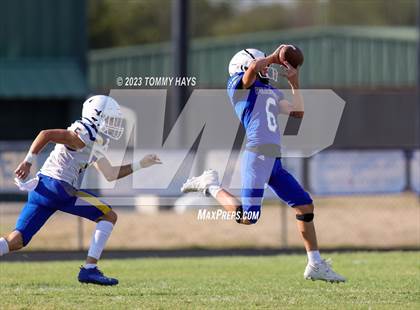 Thumbnail 2 in Brock @ Peaster photogallery.