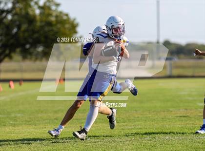 Thumbnail 2 in Brock @ Peaster photogallery.