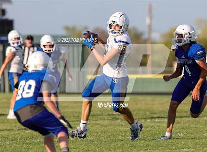 Thumbnail 1 in Brock @ Peaster photogallery.