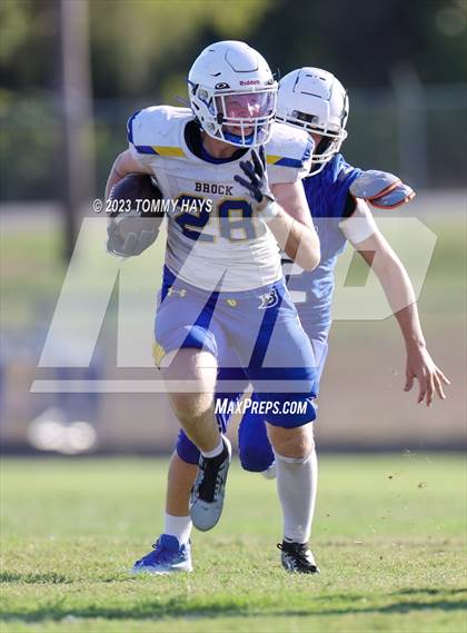 Thumbnail 1 in Brock @ Peaster photogallery.
