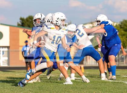 Thumbnail 1 in Brock @ Peaster photogallery.