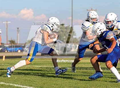 Thumbnail 3 in Brock @ Peaster photogallery.