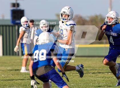 Thumbnail 2 in Brock @ Peaster photogallery.
