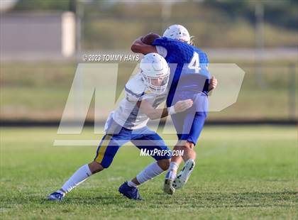 Thumbnail 3 in Brock @ Peaster photogallery.
