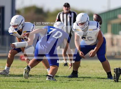 Thumbnail 1 in Brock @ Peaster photogallery.