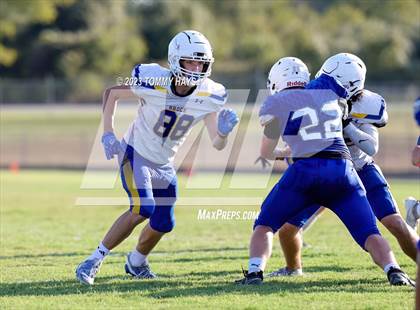 Thumbnail 3 in Brock @ Peaster photogallery.