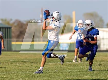 Thumbnail 1 in Brock @ Peaster photogallery.