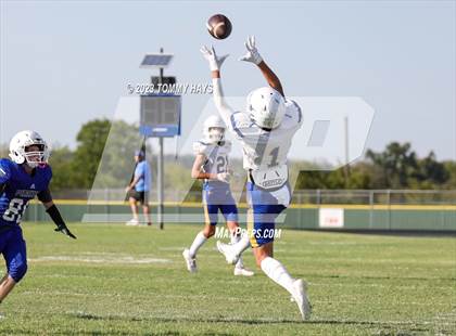 Thumbnail 3 in Brock @ Peaster photogallery.