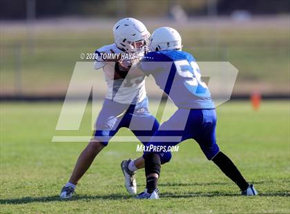 Thumbnail 2 in Brock @ Peaster photogallery.