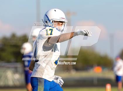 Thumbnail 3 in Brock @ Peaster photogallery.
