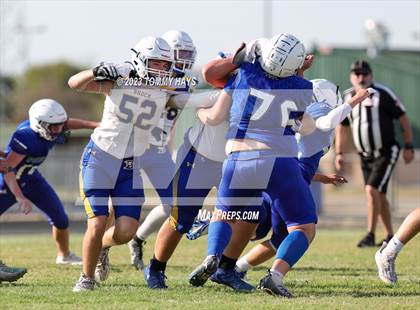 Thumbnail 3 in Brock @ Peaster photogallery.