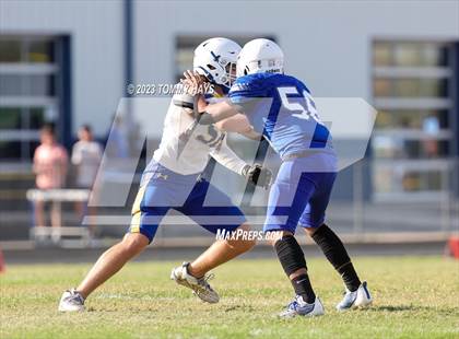 Thumbnail 3 in Brock @ Peaster photogallery.