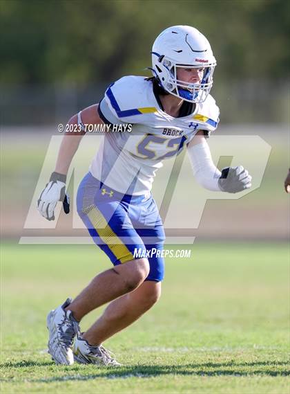 Thumbnail 3 in Brock @ Peaster photogallery.