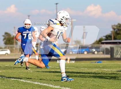 Thumbnail 1 in Brock @ Peaster photogallery.