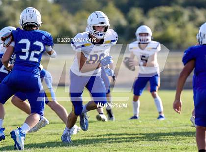 Thumbnail 1 in Brock @ Peaster photogallery.