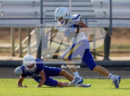 Thumbnail 1 in Brock @ Peaster photogallery.