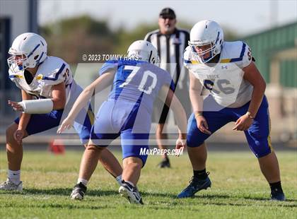 Thumbnail 2 in Brock @ Peaster photogallery.