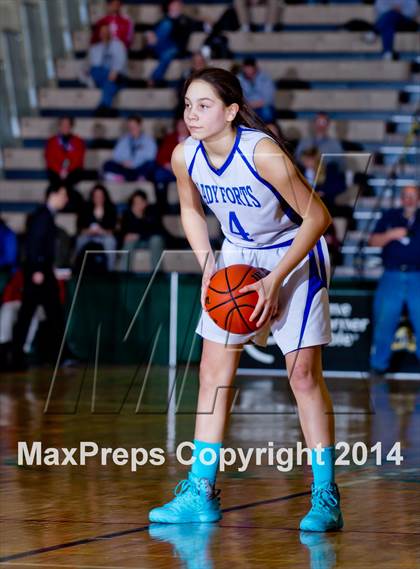 Thumbnail 1 in Fort Edward vs. Hamilton (NYSPHSAA Class D Semifinal) photogallery.