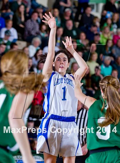Thumbnail 2 in Fort Edward vs. Hamilton (NYSPHSAA Class D Semifinal) photogallery.