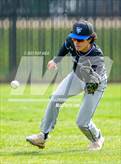Photo from the gallery "Davis @ Jesuit"