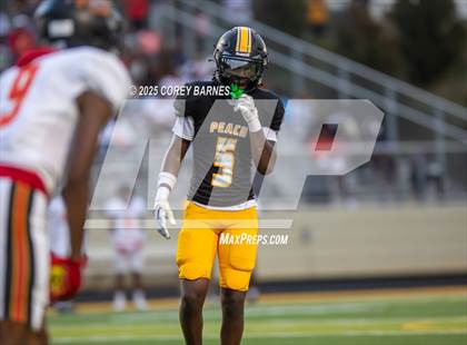 Thumbnail 1 in Northeast @ Peach County photogallery.
