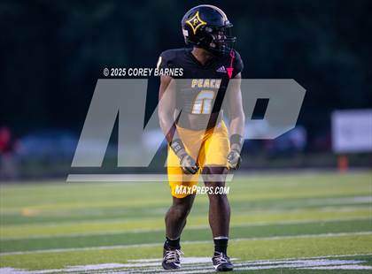 Thumbnail 3 in Northeast @ Peach County photogallery.
