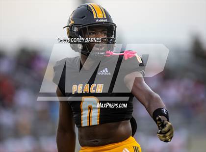 Thumbnail 2 in Northeast @ Peach County photogallery.