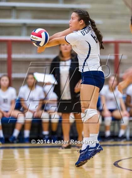 Thumbnail 1 in Reagan vs O'Connor photogallery.