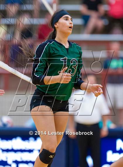 Thumbnail 1 in Reagan vs O'Connor photogallery.