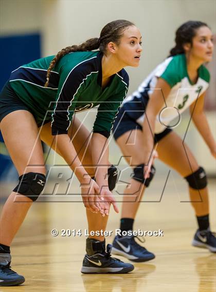 Thumbnail 1 in Reagan vs O'Connor photogallery.