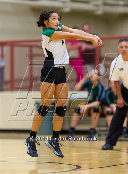Thumbnail 1 in Reagan vs O'Connor photogallery.