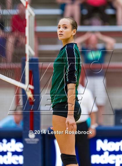 Thumbnail 1 in Reagan vs O'Connor photogallery.