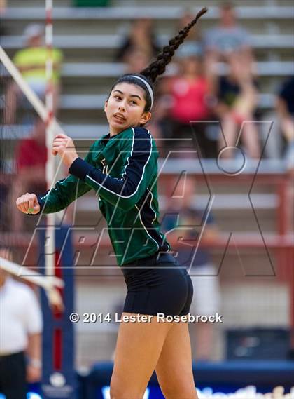 Thumbnail 3 in Reagan vs O'Connor photogallery.
