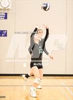 Photo from the gallery "Milpitas vs. Christopher (Spikefest 1)"